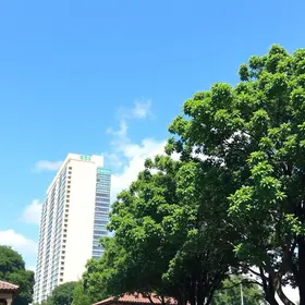 o que fazer no fim de semana em São Paulo